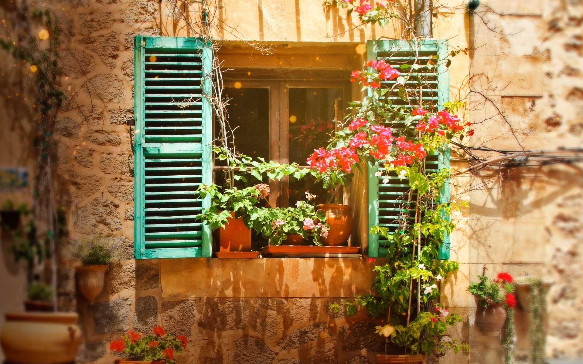 Silver-Haired Wanderer in Spain
