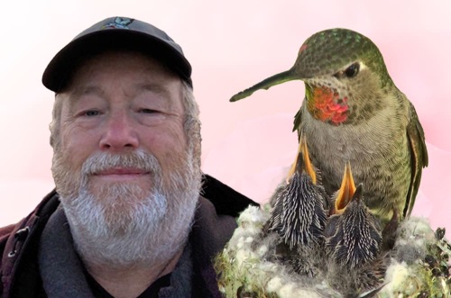 #281: Hummingbirds, Helicopters & an Underwater Guinness World Record – Eric Pittman