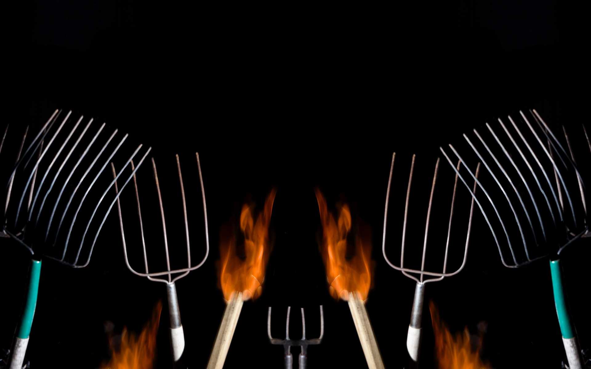 The Course of Uncomfortable Ideas